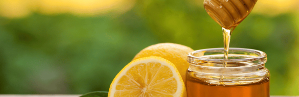 Exploring the Richness of Multi-Floral Forest Honey